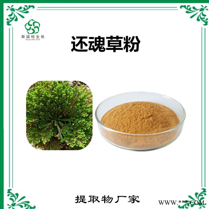 南沙参速溶粉 南沙参浓缩粉 水溶性原材料 斯诺特图3