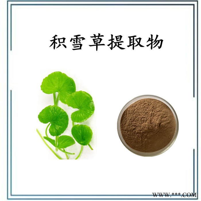 浙贝母提取物 浙贝母浸膏粉  水溶 可定制图4