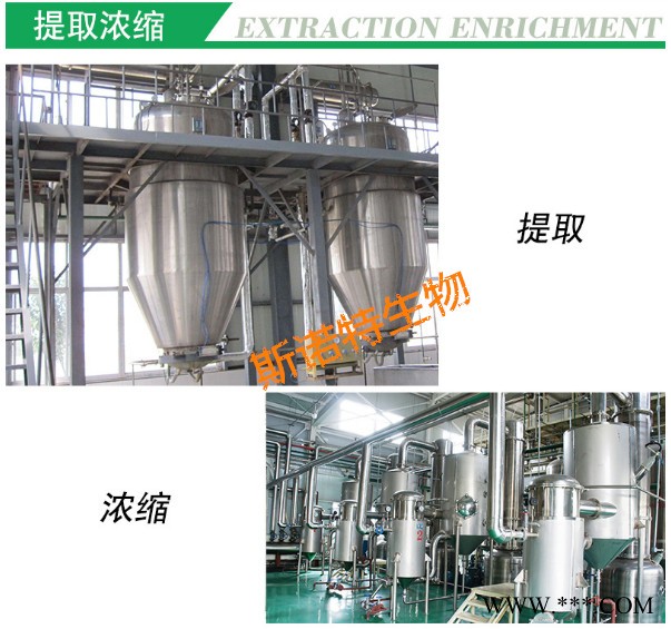 川贝母提取物  川贝母皂甙  水溶性  川贝母粉  斯诺特生物图2