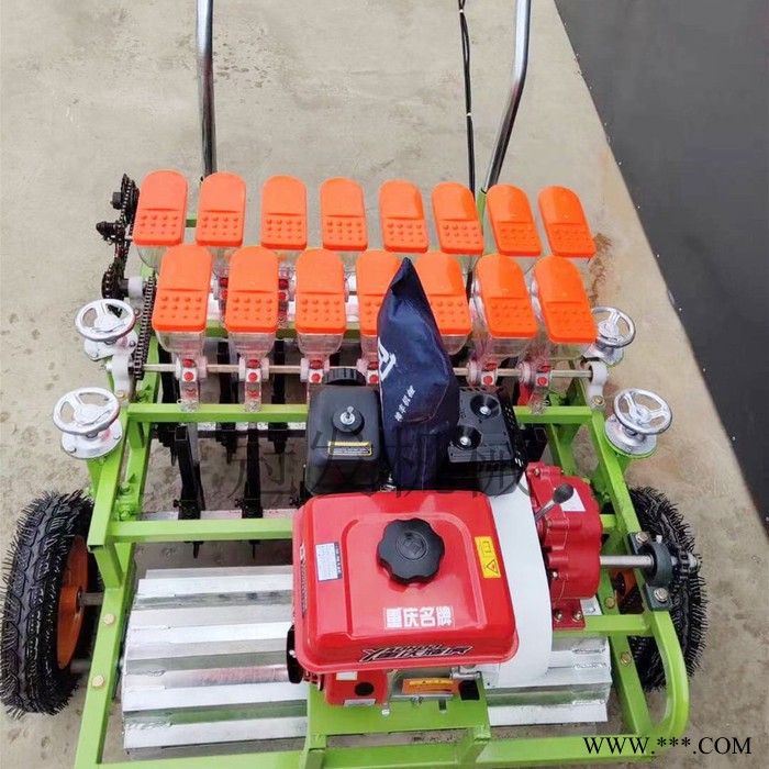 板蓝根播种机 冠发香菜生菜播种机 蔬菜谷子播种机图3