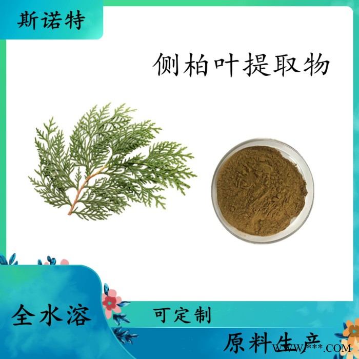 湖北贝母提取物  水溶 99% 可定制图2