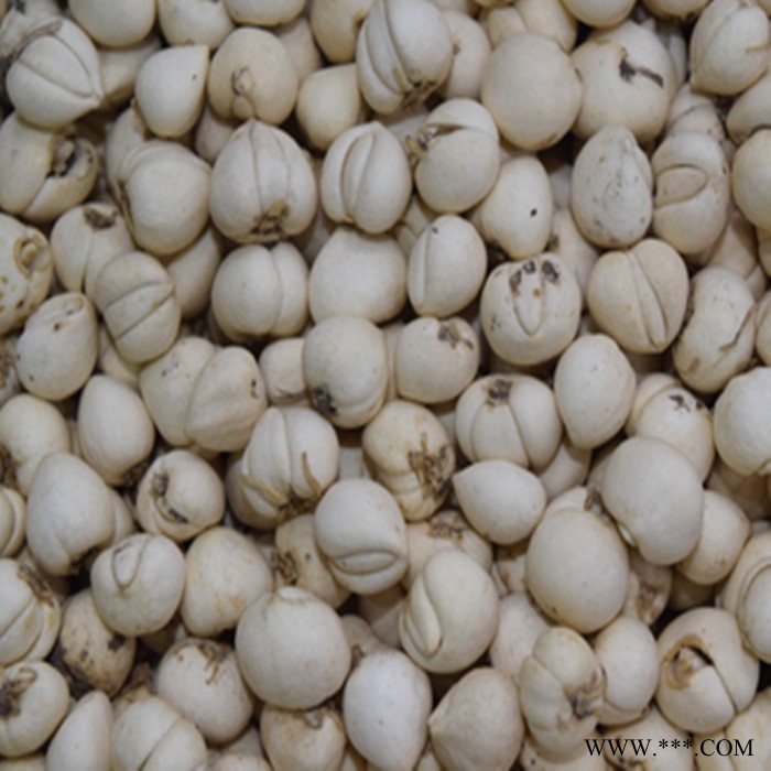 斯诺特 川贝母喷雾干燥粉 川贝母浸膏粉 植物提取物 厂家发货图6