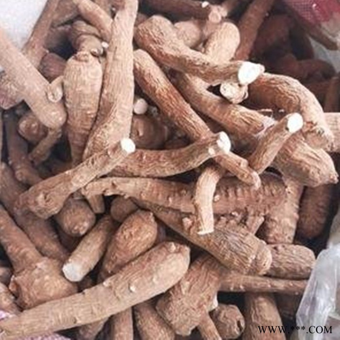 斯诺特 白芷浸膏粉 白芷喷雾干燥粉 生产厂家图8