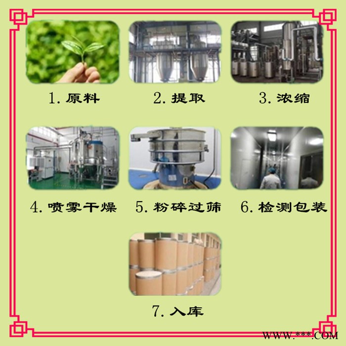 斯诺特 白芷浸膏粉 白芷喷雾干燥粉 生产厂家图6