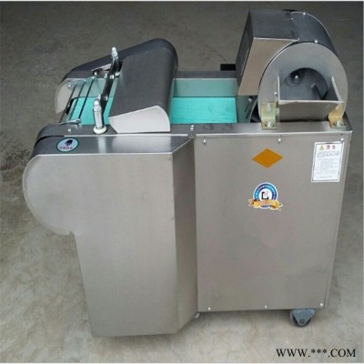 商用青萝卜切丝机 叶甜菜切段机 白芷切丁机价格