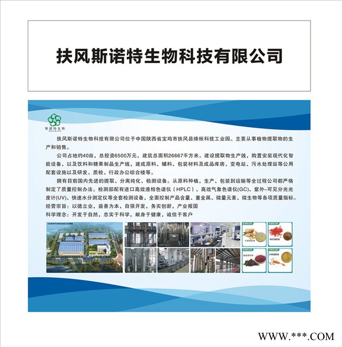 斯诺特 南沙参提取物 南沙参粉 厂家供应 包邮图4