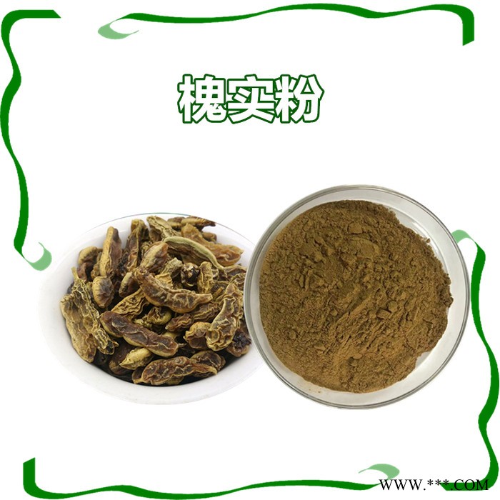 扶风斯诺特 党参粉  全水溶  党参浓缩粉，生产厂家图2