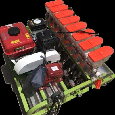 菠菜播种机 冠发生菜球播种机 板蓝根播种机