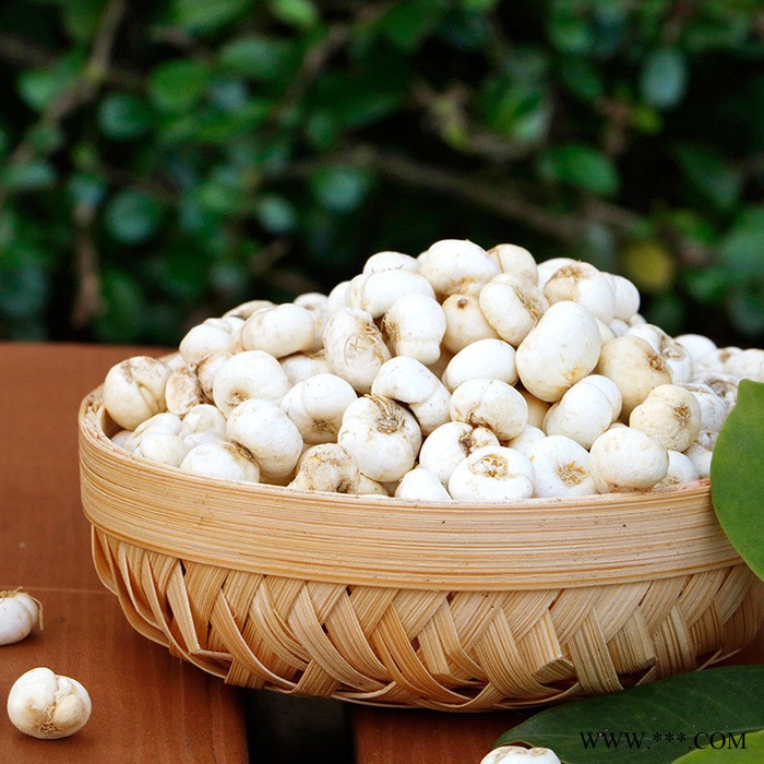 川贝母产川贝母平贝母东北特产贝母图3