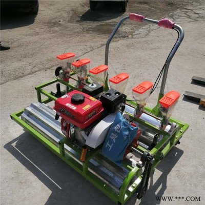 广盛 -361   汽油谷子蔬菜精播机 手推式大豆播种机 板蓝根黄芪播种机