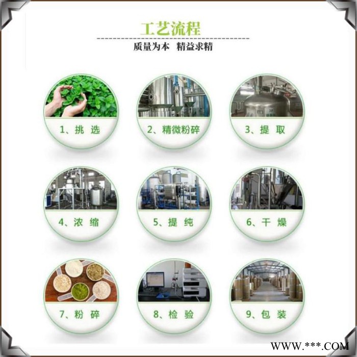 斯诺特 川贝母提取物 98% 资质齐全 生产厂家 植物萃取图5