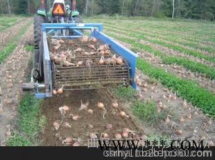 科阳”牌红薯收获机红薯收获机新型自动土豆收获机 多功能玉米红薯板蓝根收获机 自走式收获机图7