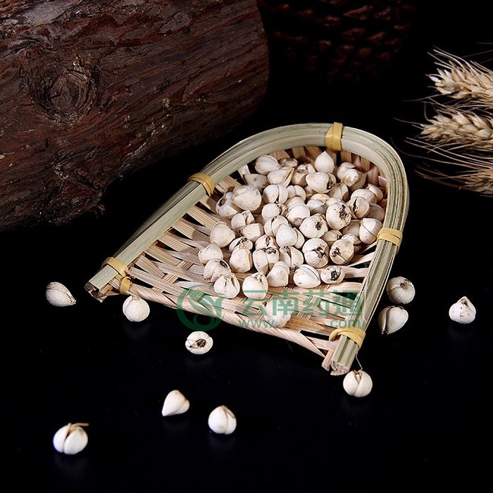 正宗四川川贝母仿**川贝颗粒川贝粉浙贝母药材无硫贝母四川特产图3