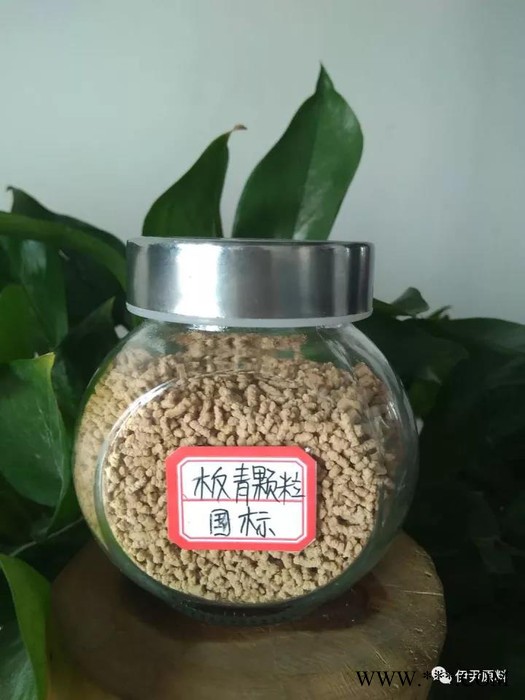 伊尹中药提取物板青颗粒 本品为原中药材板蓝根、大青叶浓缩提取制成图3