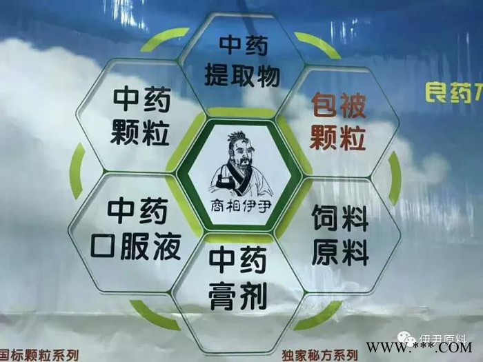伊尹中药提取物板青颗粒 本品为原中药材板蓝根、大青叶浓缩提取制成图2
