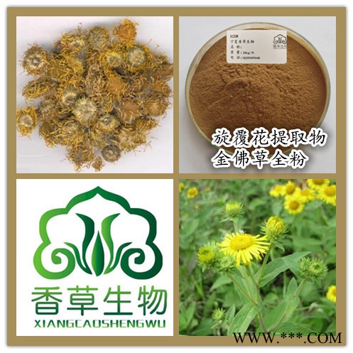 旋覆花提取物生产厂家 供应金佛草粉130目  白芷胡浓缩浸膏市场价图3