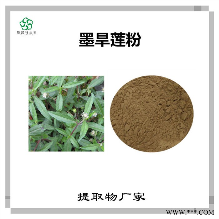 斯诺特 南沙参喷雾干燥粉 南沙参浸膏粉 生产厂家图3