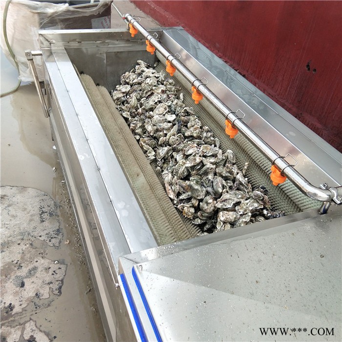 鼎鸿MQX-1500型毛棍清洗机 紫薯去泥毛棍清洗机 沙参毛棍清洗机 **图5