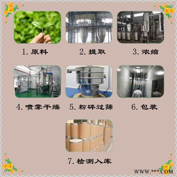 银柴胡速溶粉 银柴胡浓缩粉 植物提取物 生产厂家 斯诺特图8