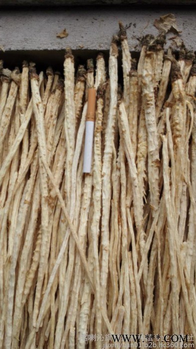 中草药类 供应内蒙带皮沙参 植物原药材图5