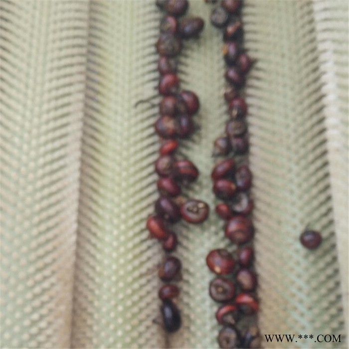 义康MQX-1500型 橙子打蜡设备 沙参清洗设备 番薯去皮清洗加工设备图6