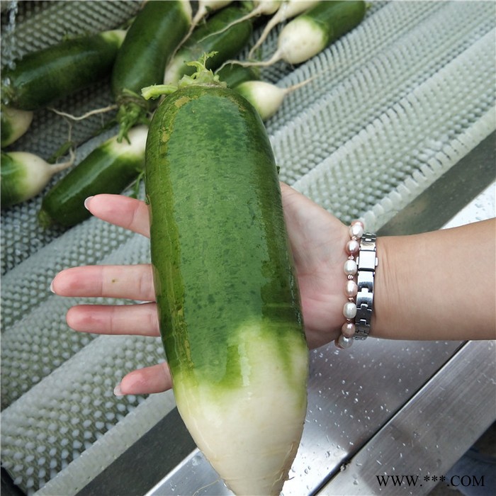 义康MQX-1500型 橙子打蜡设备 沙参清洗设备 番薯去皮清洗加工设备图4