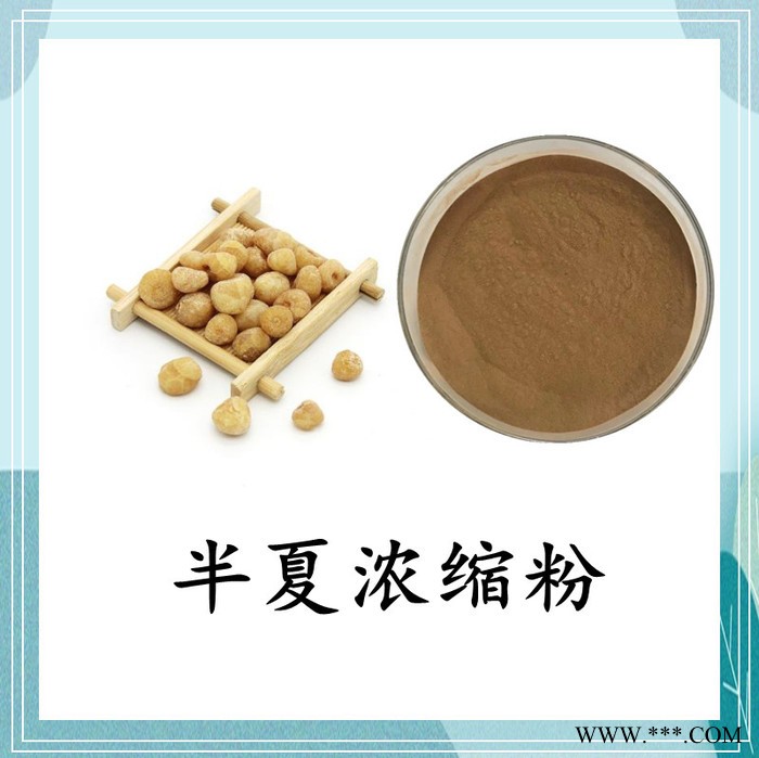 柴胡浓缩粉 斯诺特 可定制图3