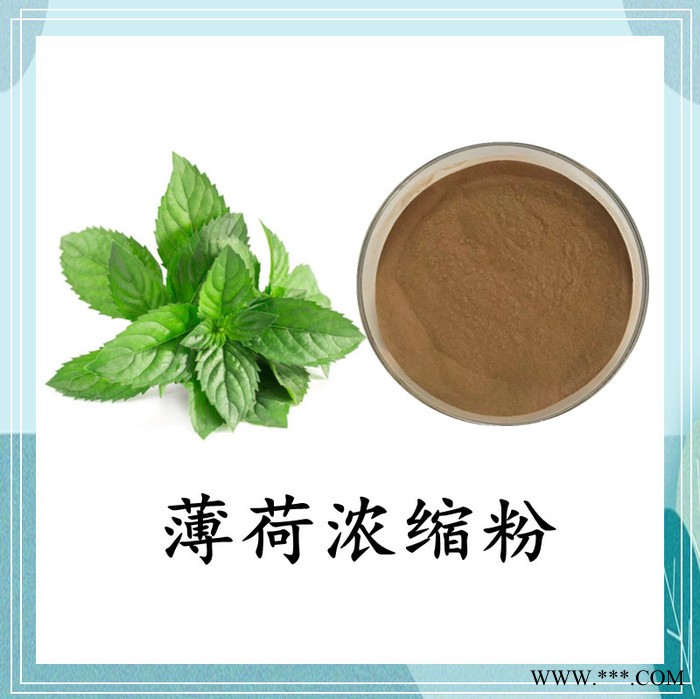 柴胡浓缩粉 斯诺特 可定制图2