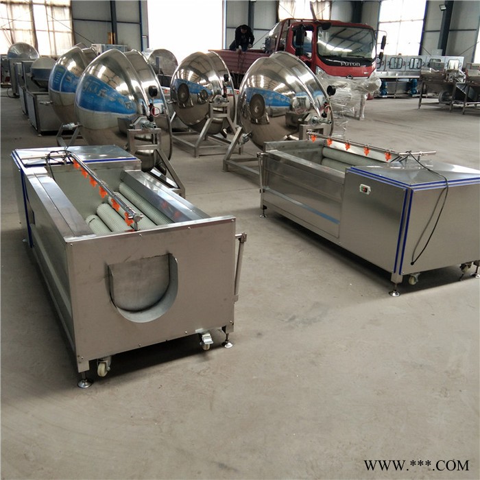 鼎鸿MQX-1500型 青萝卜毛棍清洗机 莲藕去皮毛棍清洗机 沙参毛棍清洗机图4