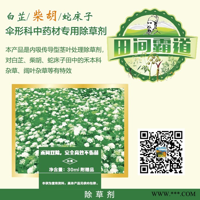 白芷除草剂 柴胡除草剂  蛇床子除草剂 伞形科中药材专用除草剂图2