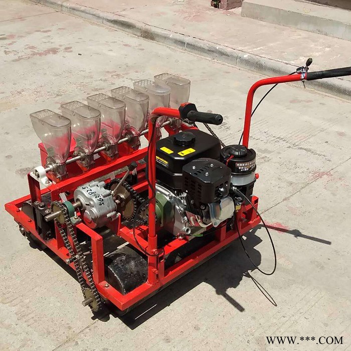 大葱菠菜蔬菜播种机 汽油动力蔬菜播种机 柴胡中药材精播机图5