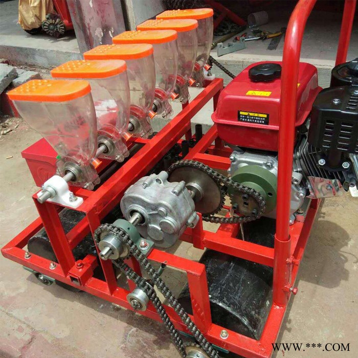 大葱菠菜蔬菜播种机 汽油动力蔬菜播种机 柴胡中药材精播机图3