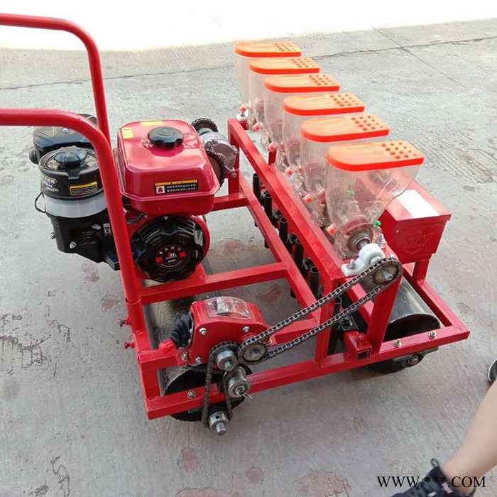 大葱菠菜蔬菜播种机 汽油动力蔬菜播种机 柴胡中药材精播机图6