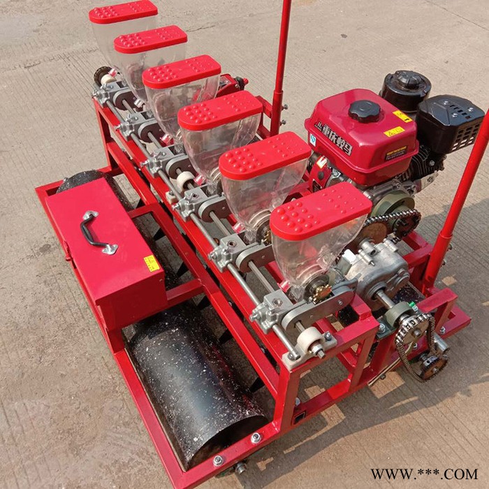 大葱菠菜蔬菜播种机 汽油动力蔬菜播种机 柴胡中药材精播机图2