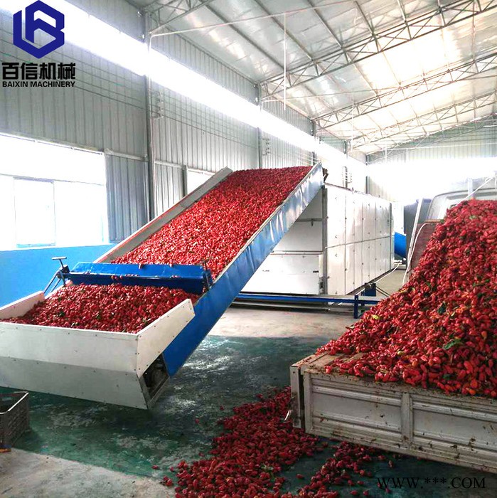 河南百信多层带山药烘干设备 大型山药烘干机 连续式山药脱水设备图3