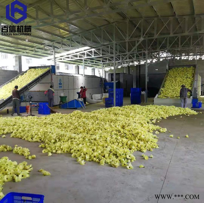 河南百信多层带山药烘干设备 大型山药烘干机 连续式山药脱水设备图4