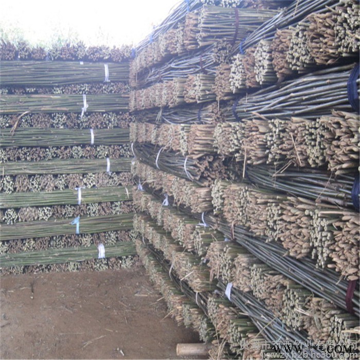 大量批发山药架竿 种植山药用的**菜架杆图5