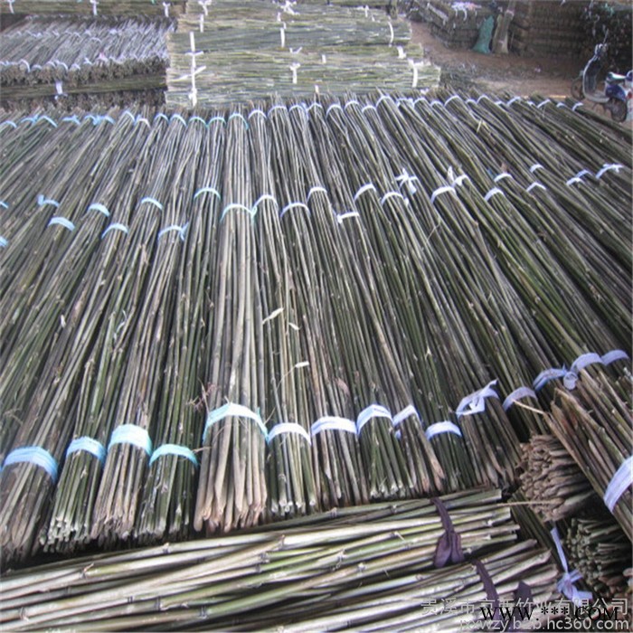 大量批发山药架竿 种植山药用的**菜架杆图7