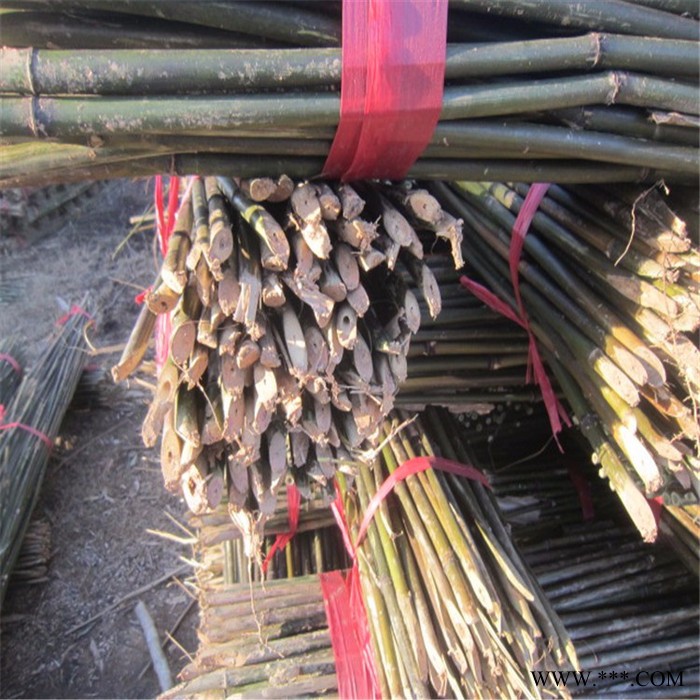 全国低价批发销售2米5山药架竿图8