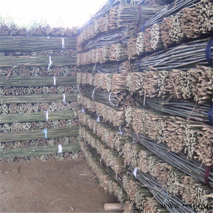 全国低价批发销售2米5山药架竿图6