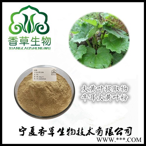 大黄茎叶提取物10:1 大黄茎叶粉现货  大黄茎叶萃取粉现货图5
