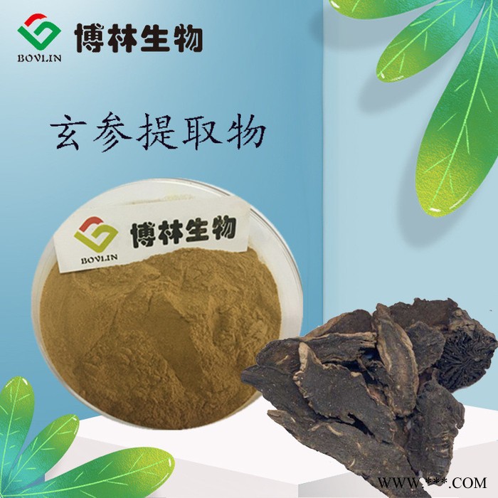 玄参提取物10:1 玄参粉 玄参纯粉图2