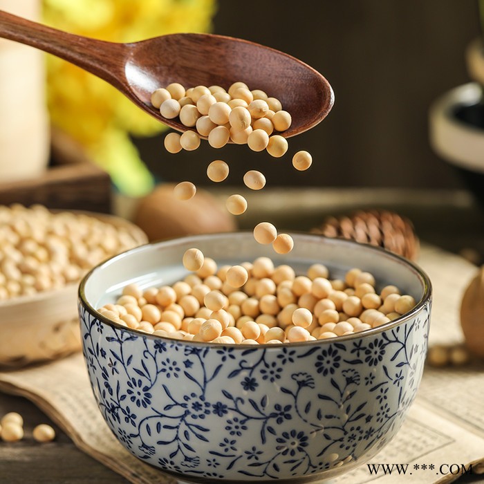 燕之坊 东北大黄豆批发 豆浆原料供应辽宁阜新黄豆 真空小包装黄豆图3