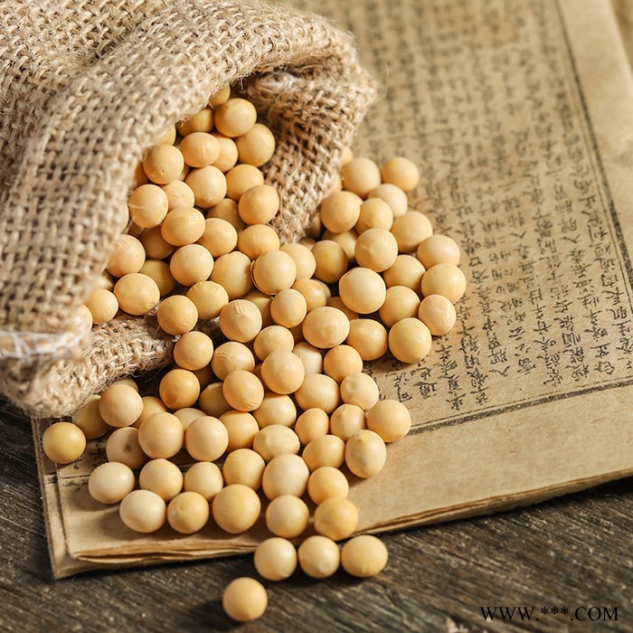 燕之坊 东北大黄豆批发 豆浆原料供应辽宁阜新黄豆 真空小包装黄豆图4