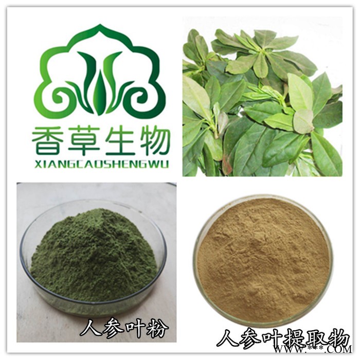 太子参提取物皂甙10% 香草生物供应太子参粉98% 童参提取物 太子参提取液图4