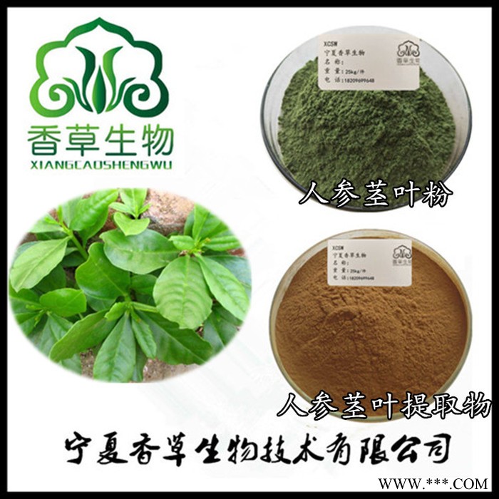 太子参提取物皂甙10% 香草生物供应太子参粉98% 童参提取物 太子参提取液图3