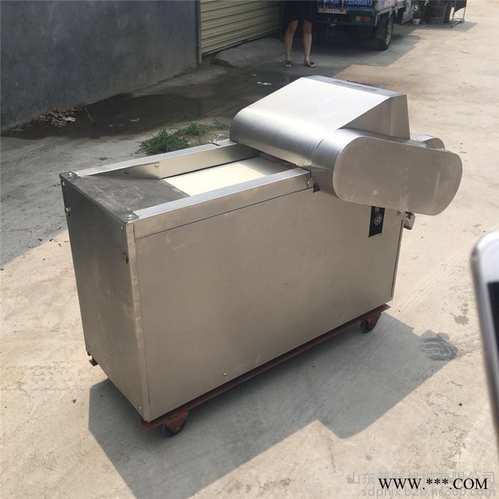 长乐全自动韭菜切段机 普航多功能蔬菜切丝切片机 660型山药切块机批发图3