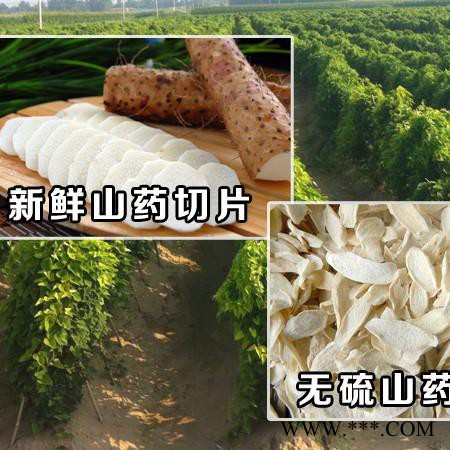 南洋 山药烘干机 带式山药干燥机 山药烘干设备 怀山药烘干机 麻山药烘干机 淮山药烘干机 山药烘干机厂家图3