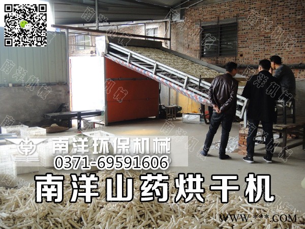 南洋 山药烘干机 带式山药干燥机 山药烘干设备 怀山药烘干机 麻山药烘干机 淮山药烘干机 山药烘干机厂家图4