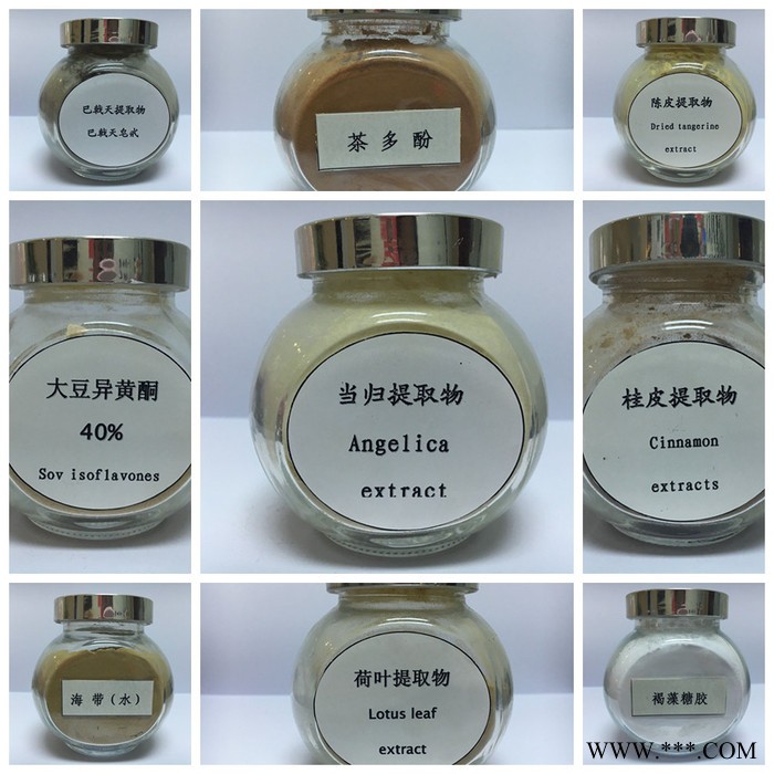 斯诺特生物 山药提取物 山药粉 速溶食品原料图3